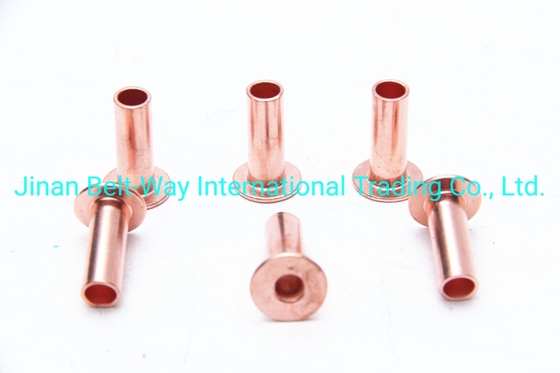 Sinotruk HOWO อะไหล่รถบรรทุก แผ่นเบรน Rivet Wg9231340068 มาตรฐานและทนทาน 10 * 22mm