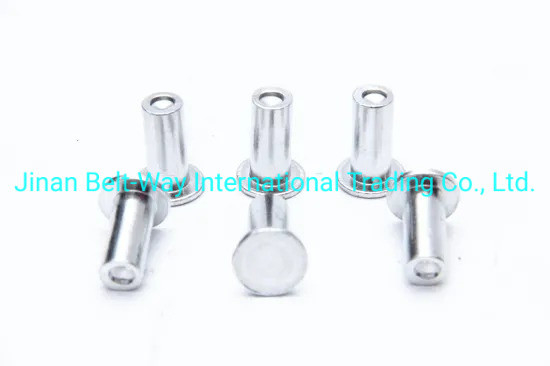 Sinotruk HOWO อะไหล่รถบรรทุก แผ่นเบรน Rivet Wg9231340068 มาตรฐานและทนทาน 10 * 22mm