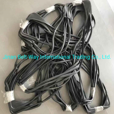Sinotruk HOWO Truck L Glass Sealing Wg1642350001 Wg1642350002s สําหรับระบบส่ง