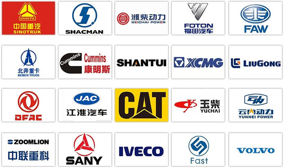 อะไหล่ระบบส่ง Wg1642879231 แสงแดดสําหรับรถบรรทุก Sinotruk Shacman Foton FAW