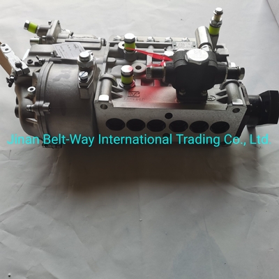 Sinotruk HOWO Truck Parts Fuel Injection Pump Vg1560080021 พร้อมการสนับสนุนการชําระเงินในดอลลาร์