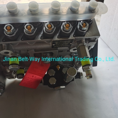 Sinotruk HOWO Truck Parts Fuel Injection Pump Vg1560080021 พร้อมการสนับสนุนการชําระเงินในดอลลาร์