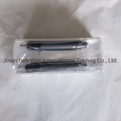 Sinotruk HOWO Truck Parts Fuel Injector Vg1560080276 สําหรับระบบขับเคลื่อนแกนหน้า