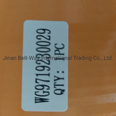 Sinotruk HOWO รถบรรทุกอะไหล่ คลั๊จ Booster กระบอก Wg9719230029 ที่สมบูรณ์แบบสําหรับรถบรรทุกของคุณ
