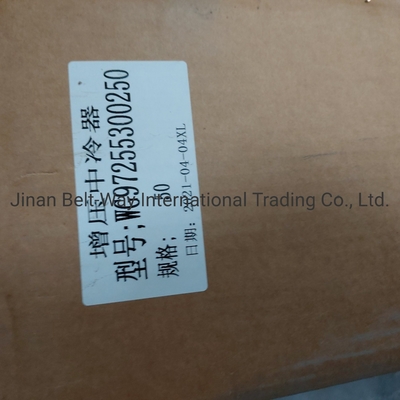 Sinotruk HOWO อะไหล่รถบรรทุก เครื่องเย็นระหว่างเครื่อง Wg97255300250 Wg9725530020