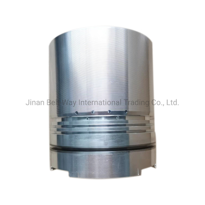 อะไหล่ระบบไฟฟ้า แบตเตอรี่สําหรับ Nt855 Genset Piston 3017348 ตลาดหลักเอเชียใต้