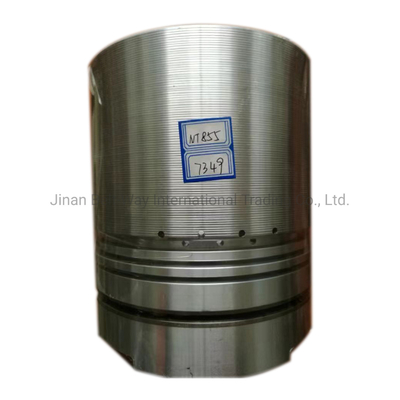 Nt855 เครื่องยนต์ดีเซล พิสตอนเบอร์ส่วน 3017349 สําหรับการทํางาน